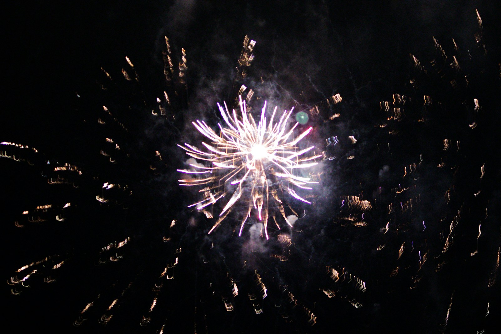 A fireworks is lit up in the night sky